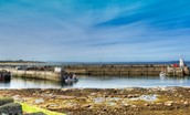 Harbour Hideaway - enjoy the changing light across Seahouses Harbour towards the Farne Islands