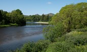 Dryburgh Estate - enjoy tranquil walks and fantastic fishing at the nearby River Tweed