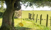 Cairnbank House - play time in the sunshine with this tree suspended button swing