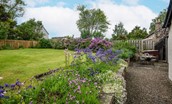 Pentland Cottage - the garden with beautiful purple and blue blooms