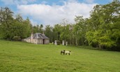 Lilylaw - set amidst rolling parkland with grazing livestock nearby