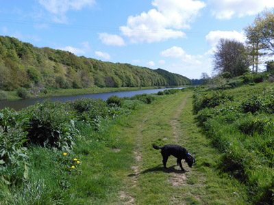 Hamish playing on the River Tweed