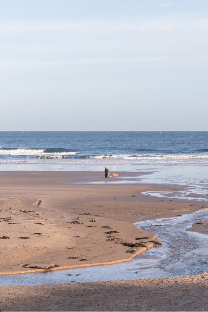 A dog walk on Bamburgh Beach