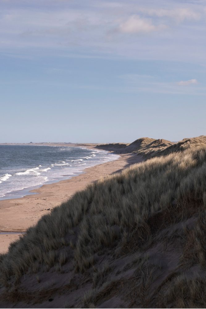 Cheswick Sands in Northumberland
