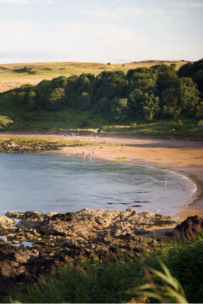 Coldingham Bay in the Scottish Borders